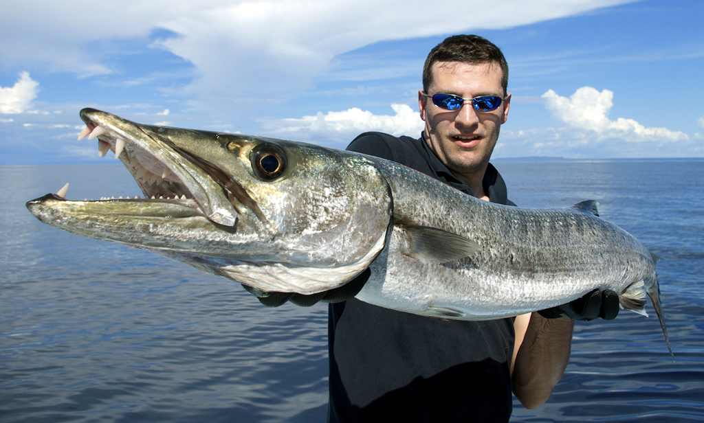 Catching Barracuda Key West