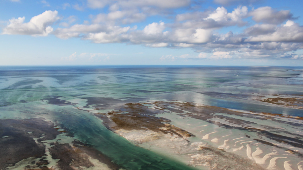 Charter Fishing Flats